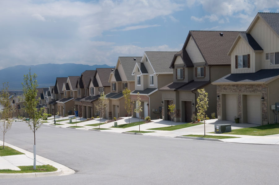 Camellia Group Banner 2